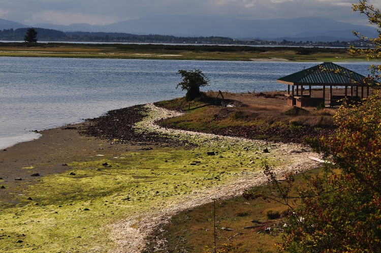 the lagoon